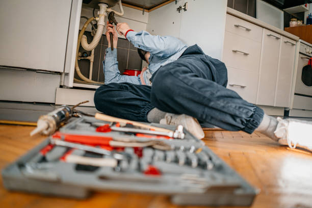 Best Clogged Drain Plumber  in Grayling, MI